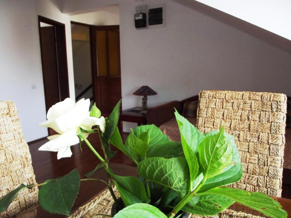Apartments Budva Center Pokoj fotografie